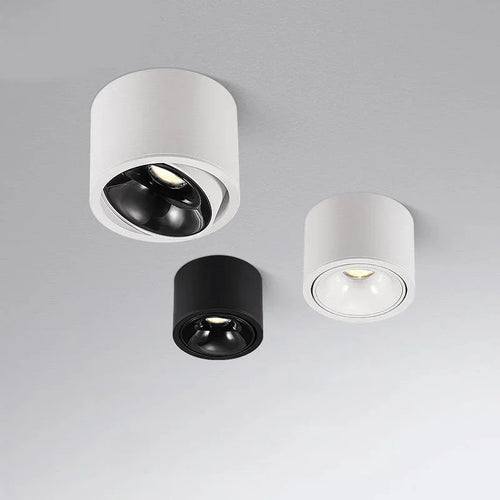 Dimmable round surface mounted LED ceiling light - vue 2 sur 9