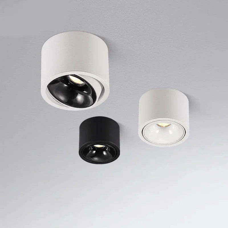 Dimmable round surface mounted LED ceiling light