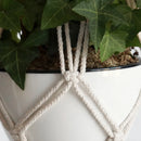 macrame plant hanger for interior and garden decoration