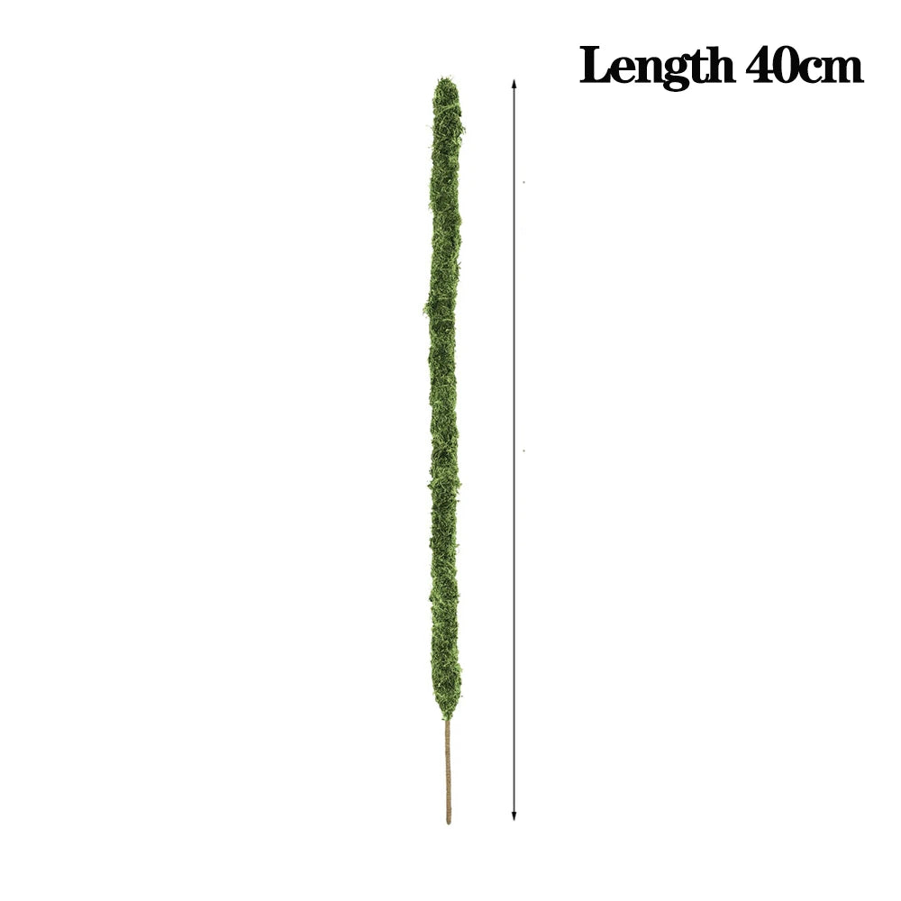 wholesale handmade moss bendable stakes for monstera plants