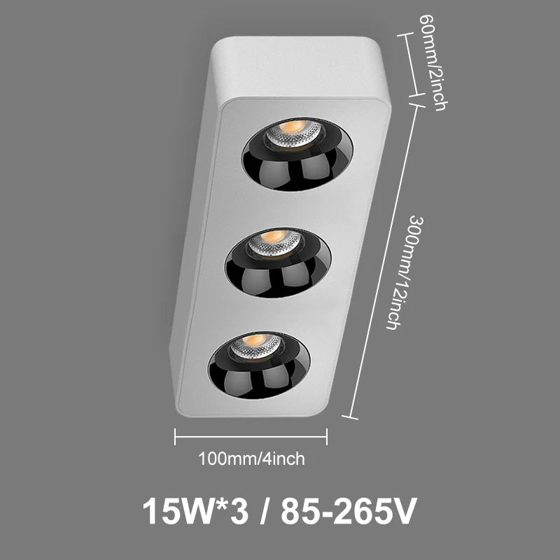 Modern industrial ceiling light with LED nordic minimalist style