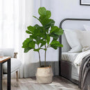 Artificial ficus branch for indoor and outdoor decoration
