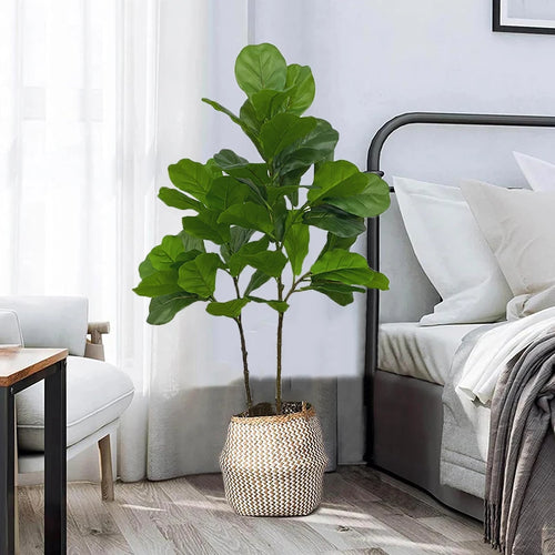 Artificial ficus branch for indoor and outdoor decoration - vue 2 sur 10
