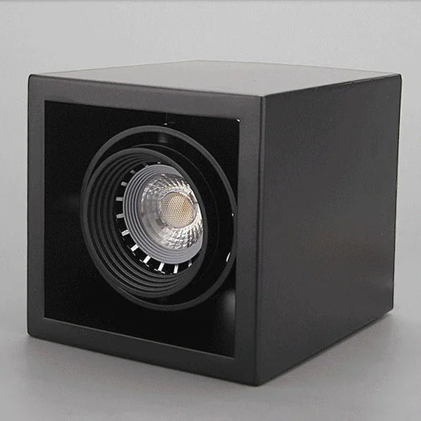 Waterproof dimmable LED ceiling light for outdoor use