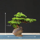 Artificial bonsai tree for indoor decoration and landscaping