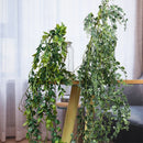 Artificial eucalyptus rattan leaves for indoor and outdoor decoration