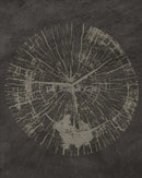 Abstract tree ring wall art posters