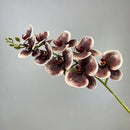 Decorative artificial butterfly orchid flowers in cotton and silicone