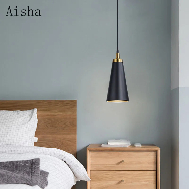 Minimalist black single head pendant light for indoor use