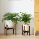 strong and durable wooden plant and bonsai stand
