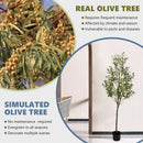 Decorative artificial olive tree with fruit for Halloween and Christmas