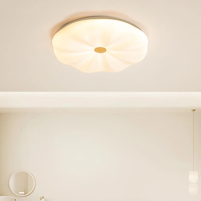 Modern decorative LED ceiling light with adjustable lighting