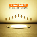 Driverless recessed LED downlight for indoor lighting