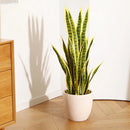 Realistic tropical artificial plants for indoor and outdoor decoration