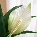 Tropical artificial monstera and anthurium plants for indoor decoration