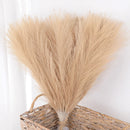 Set of artificial pampas grass bouquets for indoor decoration