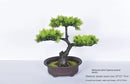 Artificial bonsai plant in plastic for interior decoration