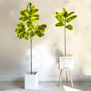 Artificial banyan branch with magnolia leaves for decoration