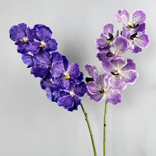Set of 2 artificial vanda orchids for indoor decoration - vue 5 sur 12
