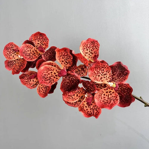 Set of 2 artificial vanda orchids for indoor decoration - vue 10 sur 12