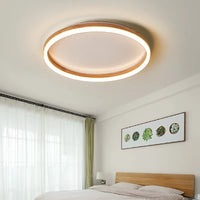 Japanese style LED ceiling light for hallway and entrance