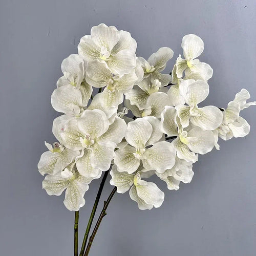 Set of 2 artificial vanda orchids for indoor decoration - vue 2 sur 12