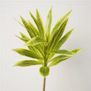 Tropical potted plant with decorative palm and bamboo