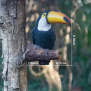 Decorative toucan wall light for garden and walkway