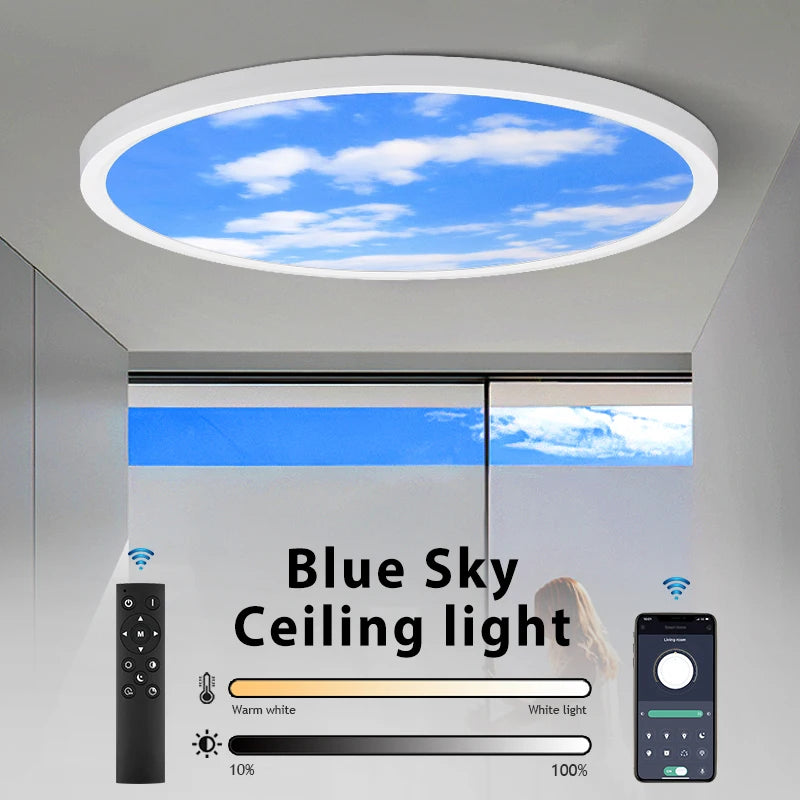 Modern LED ceiling light with decorative panel, ideal lighting fixture