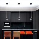 Minimalist design LED pendant light decorative metal indoor ceiling light
