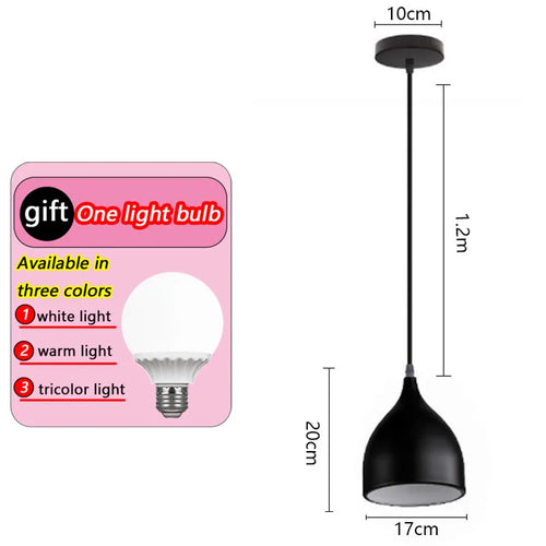 Simple modern iron chandelier for home or restaurant - vue 11 sur 14