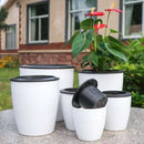 modern self-watering planter for succulents and orchids
