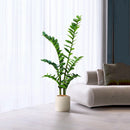 Artificial ficus and zamioculcas plants for indoor decoration
