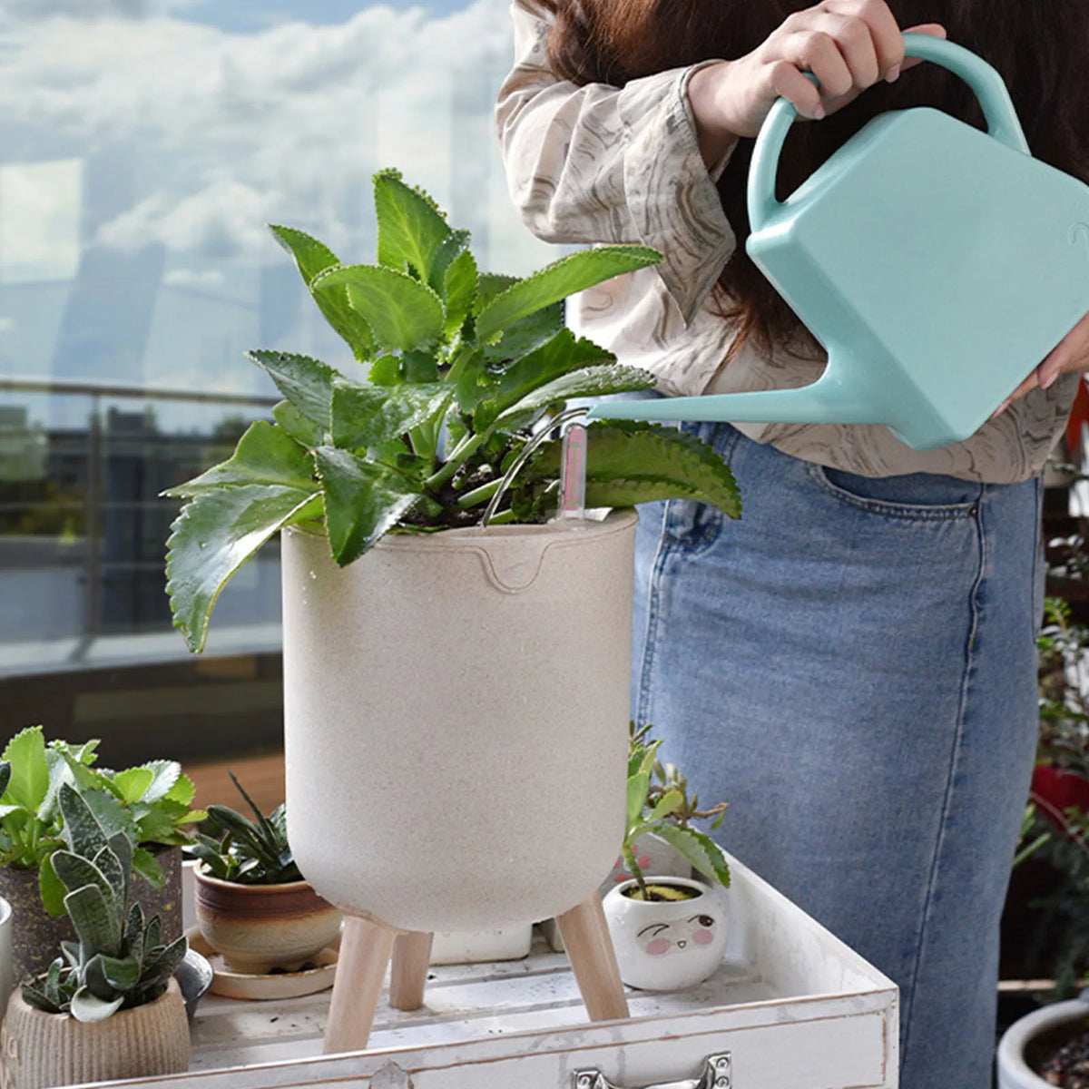 automatic flower pot with water level indicator and storage - vue 7 sur 7