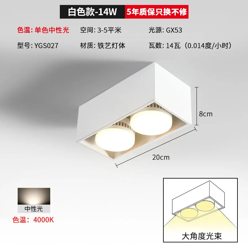 Double head ceiling light for indoor and outdoor lighting