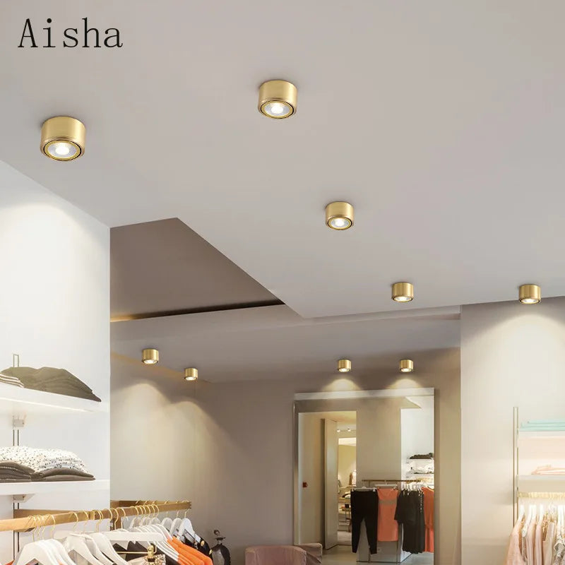 Modern copper ceiling light for indoor lighting