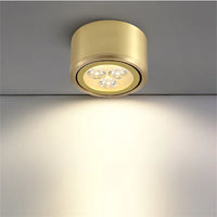 Adjustable copper LED downlight with COB spotlights for home decor