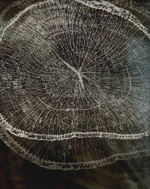 Abstract art of tree rings for interior decoration