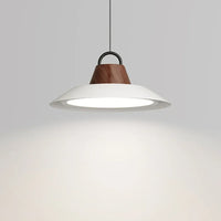 Modern nordic creative chandelier for interior decoration with LED lights