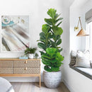 Large artificial ficus plant for indoor and outdoor decoration