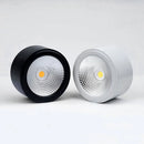 Dimmable LED spotlight for indoor decoration, surface mounted