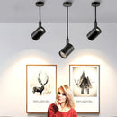 Telescopic ceiling light