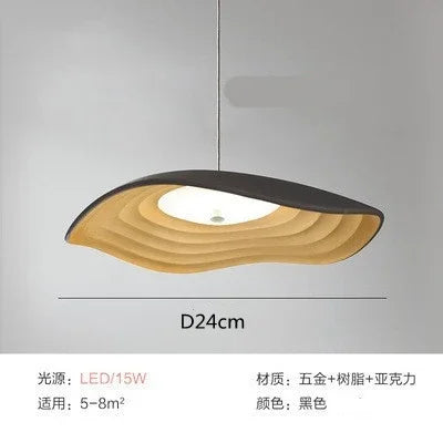 Creative Nordic resin pendant light for indoor decor - vue 14 sur 15