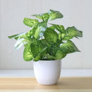 Artificial bonsai plant for indoor decoration