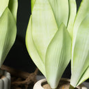 Decorative artificial succulent plants for indoor and outdoor use