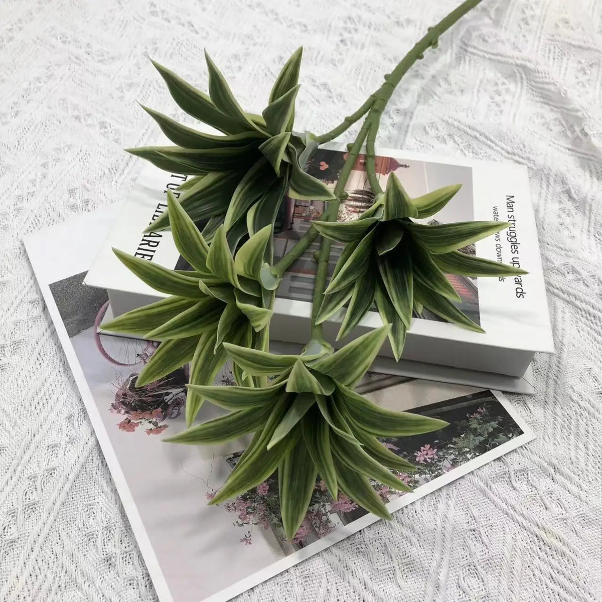 Tropical potted plant with decorative palm and bamboo