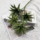 Tropical potted plant with decorative palm and bamboo