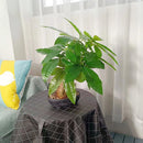 Artificial monstera tree in pot fake tropical indoor decoration