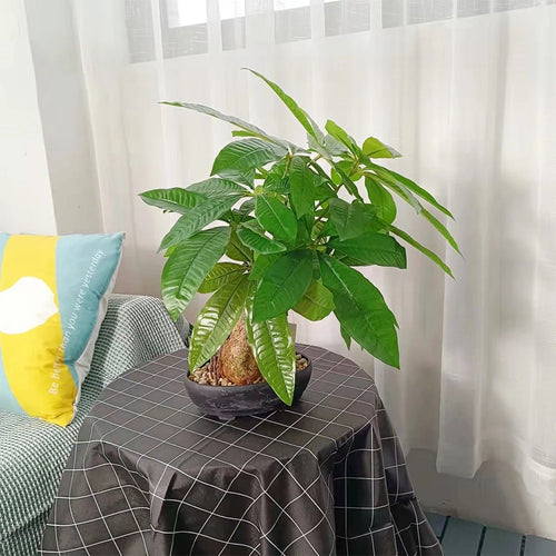 Artificial monstera tree in pot fake tropical indoor decoration - vue 4 sur 6