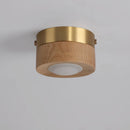 Walnut and ash LED ceiling light for home decor